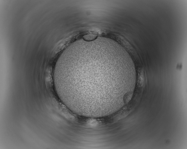 X0000115310616200911161723