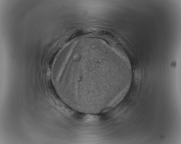 X0000115310617200911161723