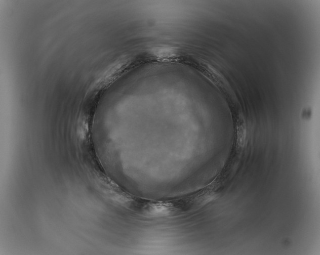 X0000115310618200911161723