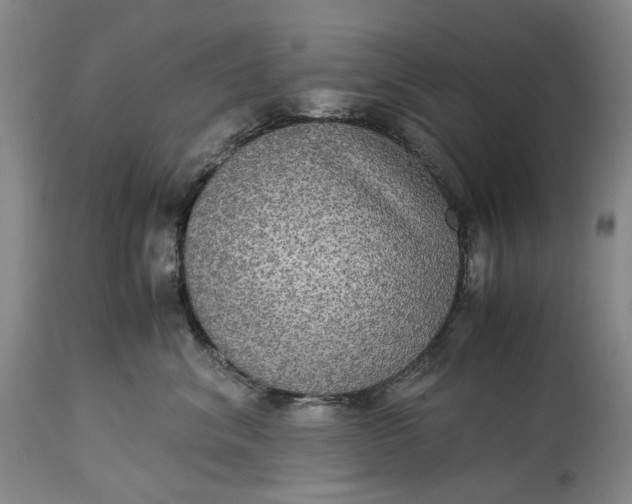 X0000115310620200911161723