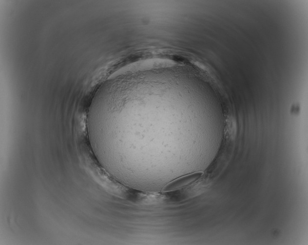 X0000115310621200911161723