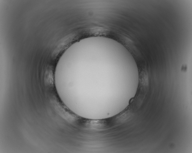 X0000115310622200911161722