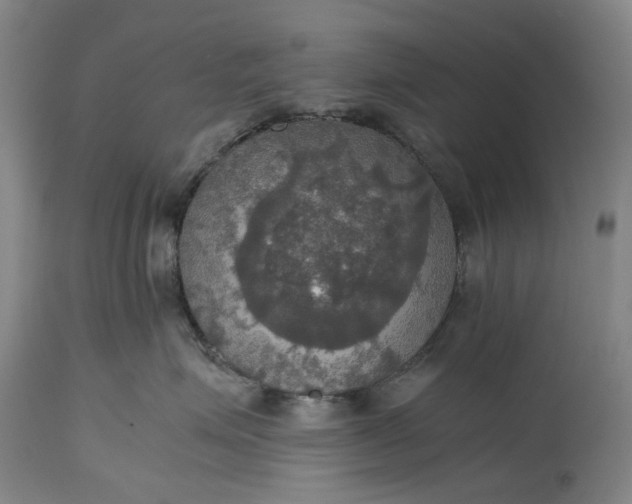 X0000115310623200911161722