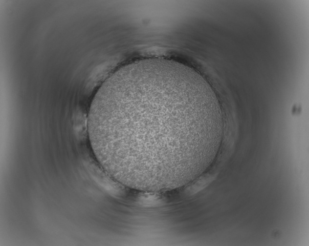 X0000115310624200911161722