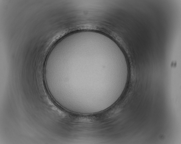 X0000115310625200911161722