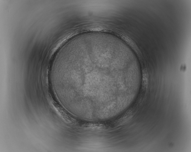 X0000115310626200911161722