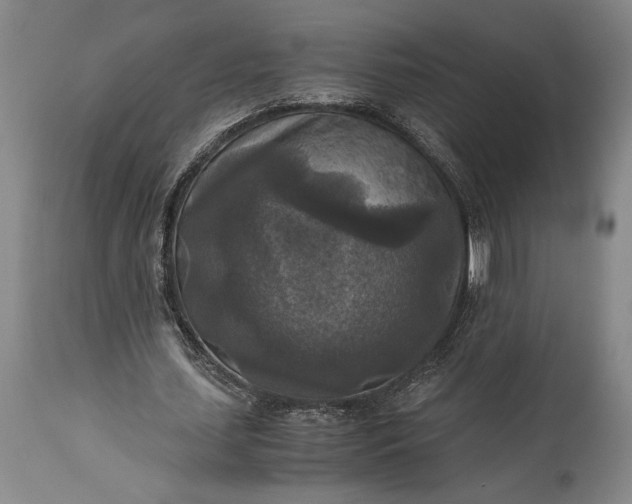 X0000115310627200911161722