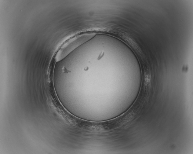 X0000115310628200911161722