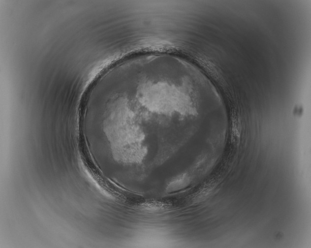 X0000115310630200911161722