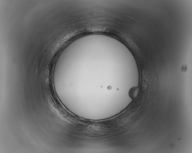 X0000115310631200911161722