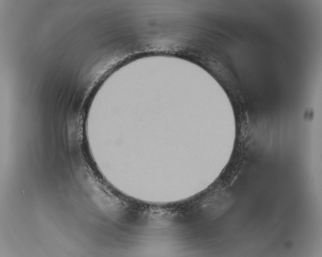 X0000115310632200911161722