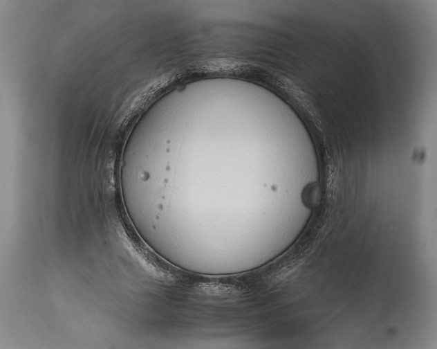 X0000115310633200911161722