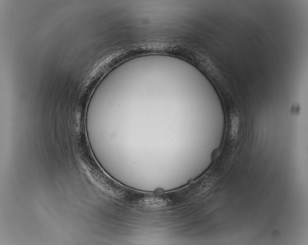 X0000115310636200911161722