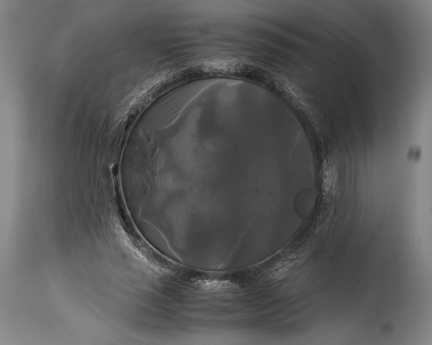 X0000115310637200911161722