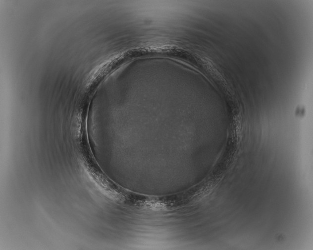 X0000115310640200911161722