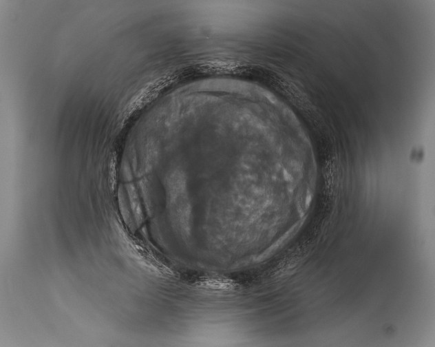 X0000115310642200911161722