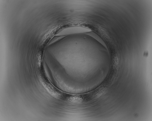 X0000115310644200911161722