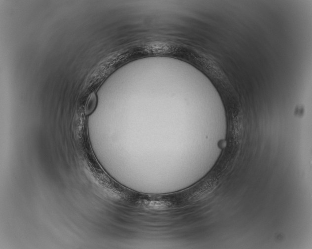 X0000115310645200911161722