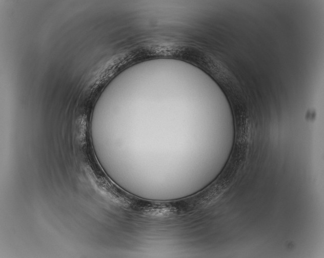 X0000115310646200911161722