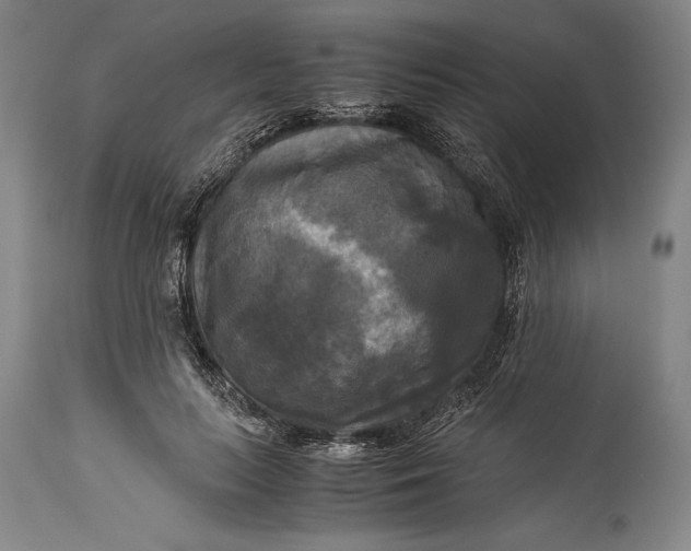 X0000115310647200911161722