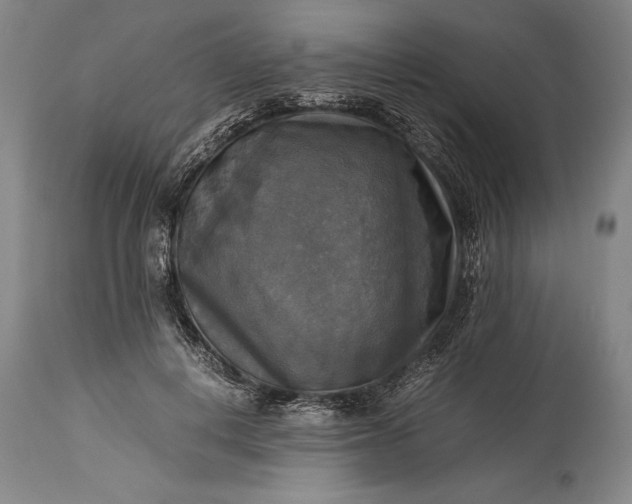 X0000115310648200911161722