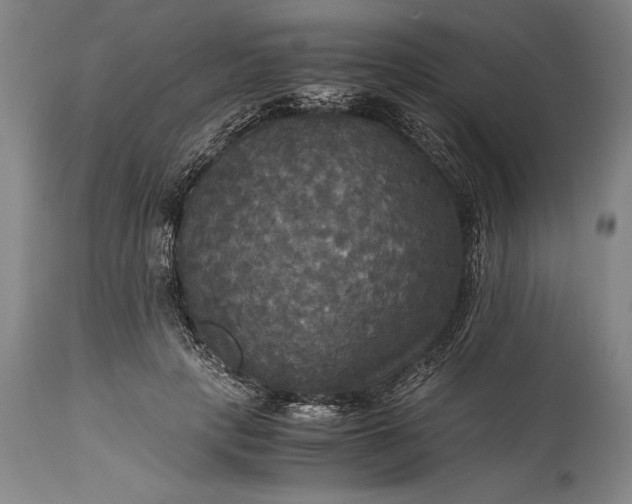 X0000115310649200911161722