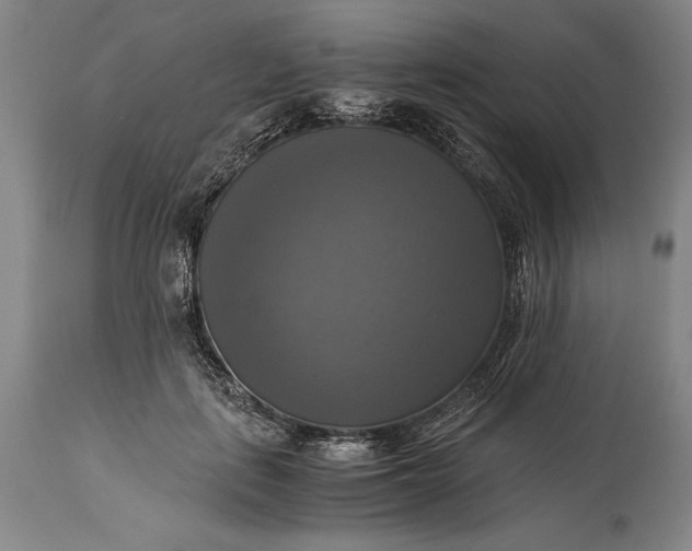 X0000115310651200911161722