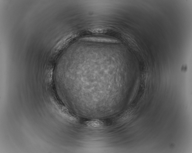 X0000115310652200911161722