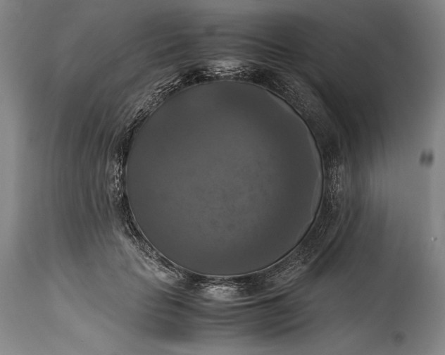 X0000115310653200911161722