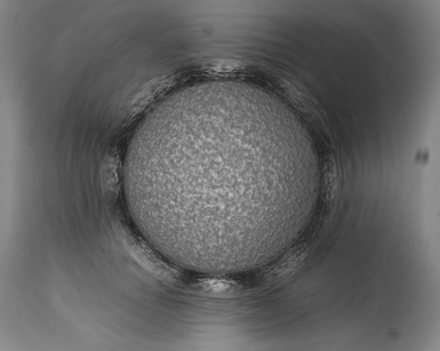 X0000115310654200911161722