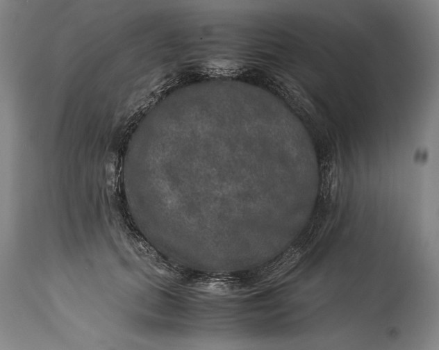 X0000115310655200911161722