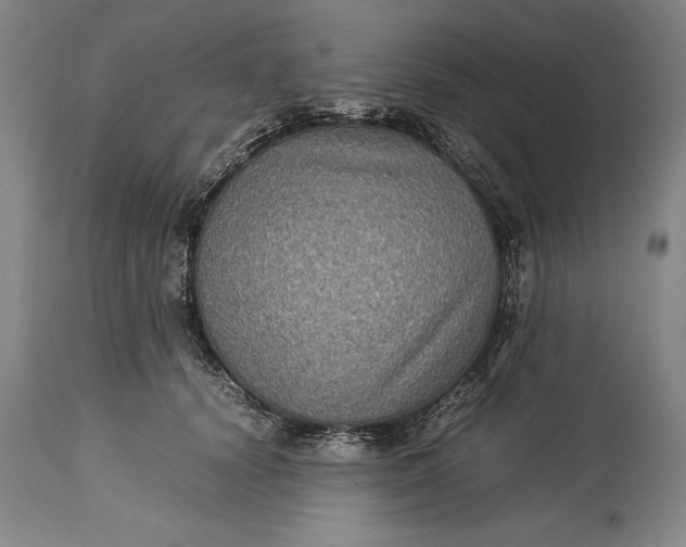 X0000115310656200911161722