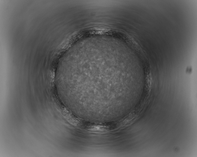 X0000115310657200911161722