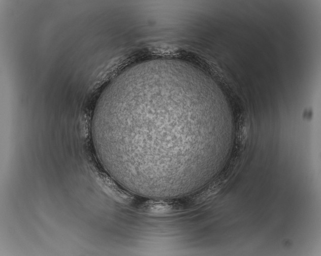 X0000115310658200911161722