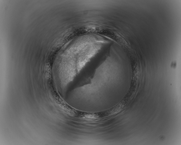 X0000115310659200911161722