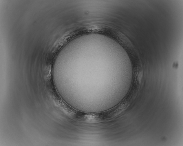 X0000115310660200911161722