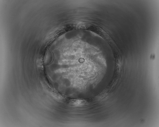 X0000115310663200911161722