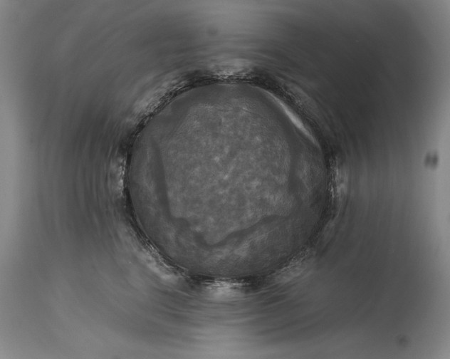 X0000115310664200911161722