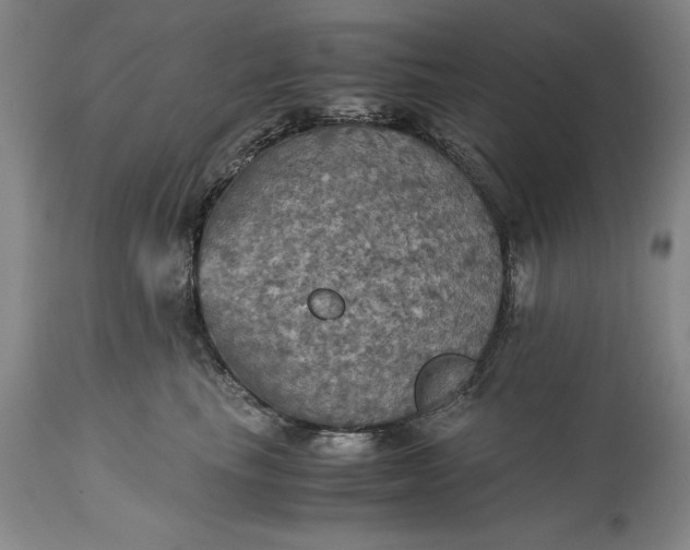 X0000115310665200911161722