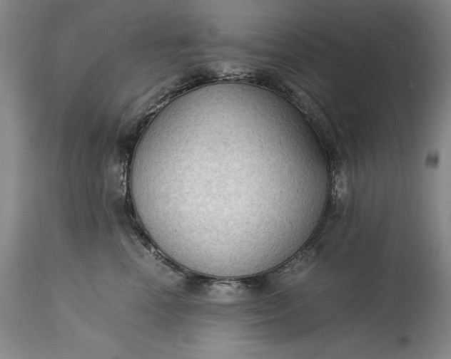 X0000115310666200911161722