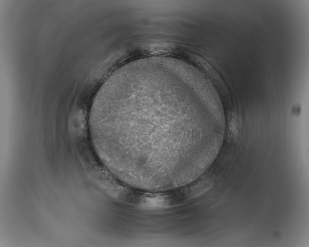 X0000115310667200911161722