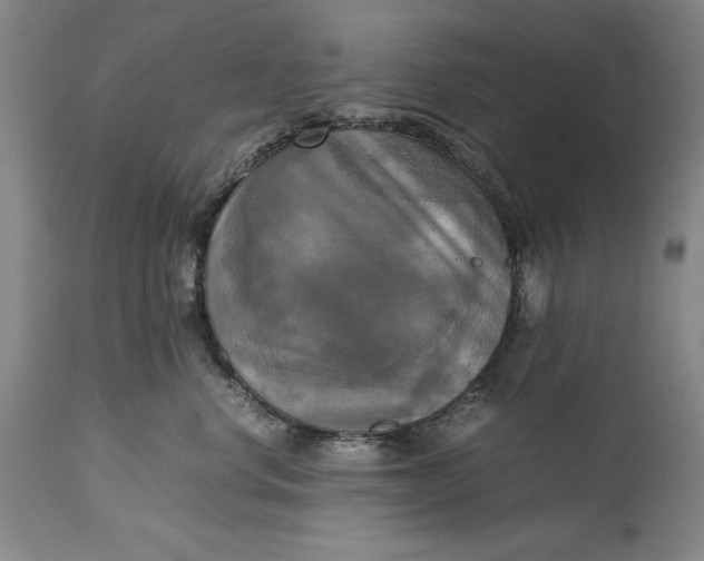 X0000115310668200911161722