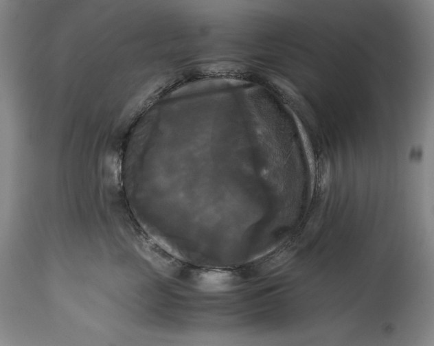 X0000115310669200911161722