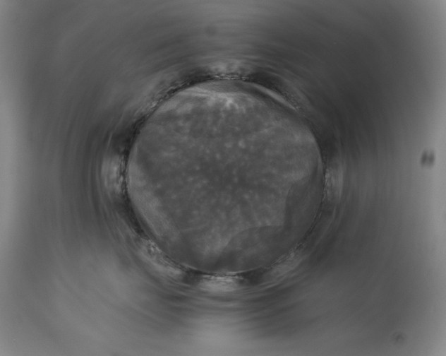 X0000115310671200911161722