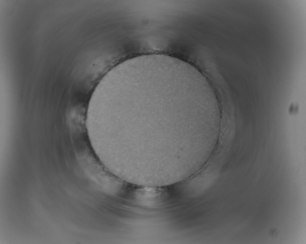 X0000115310672200911161722