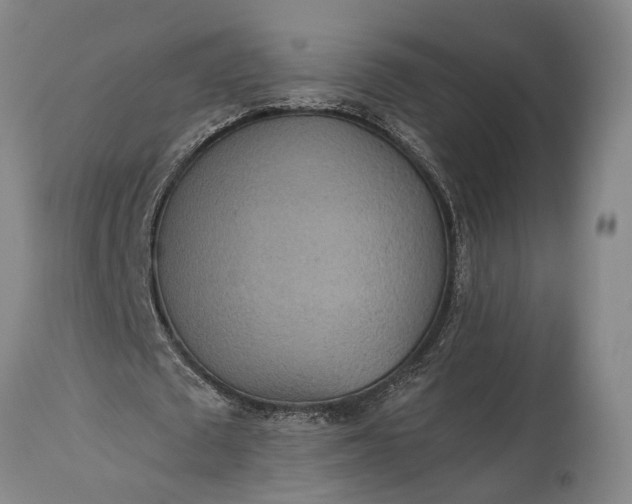 X0000115310673200911161722