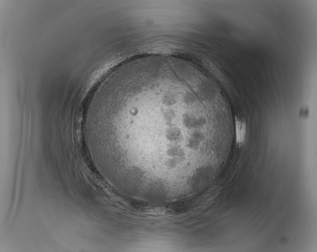 X0000115310675200911161722