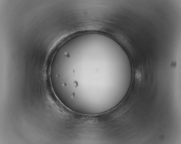 X0000115310676200911161722