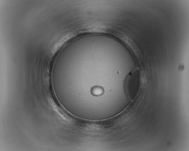 X0000115310677200911161722