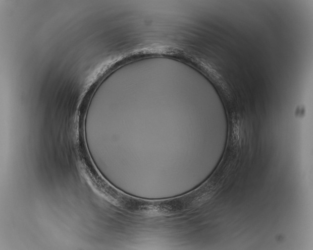 X0000115310678200911161722